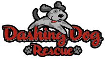 Dashing Dog Rescue Logo