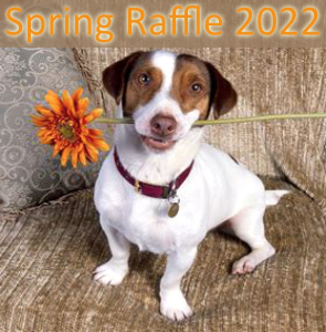 Dashing Dog Rescue Spring Raffle 2020